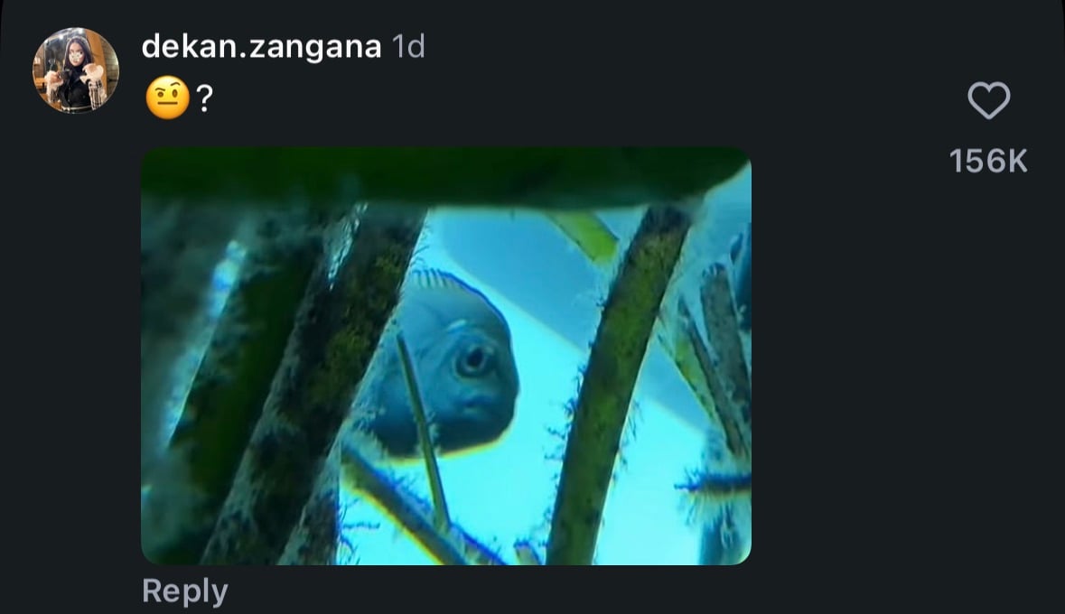 Un commentaire sur les réseaux sociaux avec un emoji pensif et une photo d'un poisson apparaissant à travers des plantes aquatiques dans un aquarium. Le commentaire a 156 000 likes.