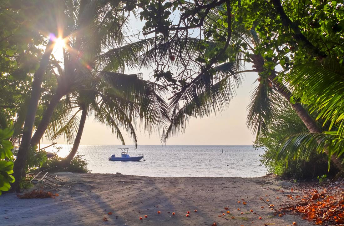Un paradis sans cigarette : Les Maldives pour ceux nés après 2006.
