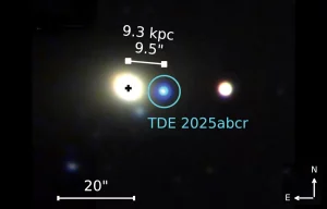 Lage des sternzerstörenden Schwarzen Lochs TDE 2025abcr und des Galaxienzentrums (Kreuz) © Stein et al. / The Astrophysical Journal Letters, CC-by 4.0