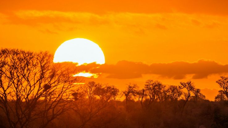 Record de chaleur en Afrique