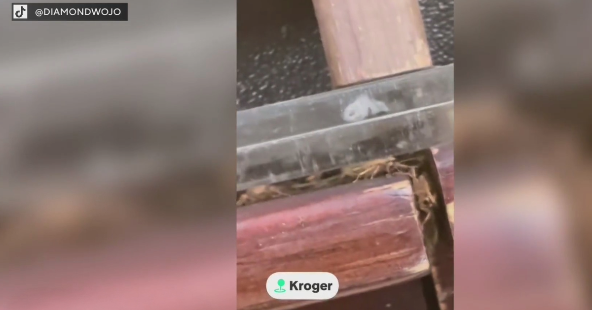 Kroger réagit après qu'une vidéo virale dévoile des insectes près des fruits et légumes dans son magasin de Dearborn !