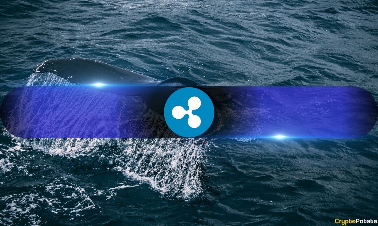 Les baleines de Ripple s'enflamment alors que le prix de XRP ne cesse de grimper !
