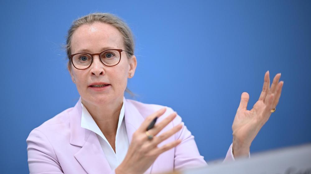 Frauke Brosius-Gersdorf, juriste spécialiste en protection des droits numériques