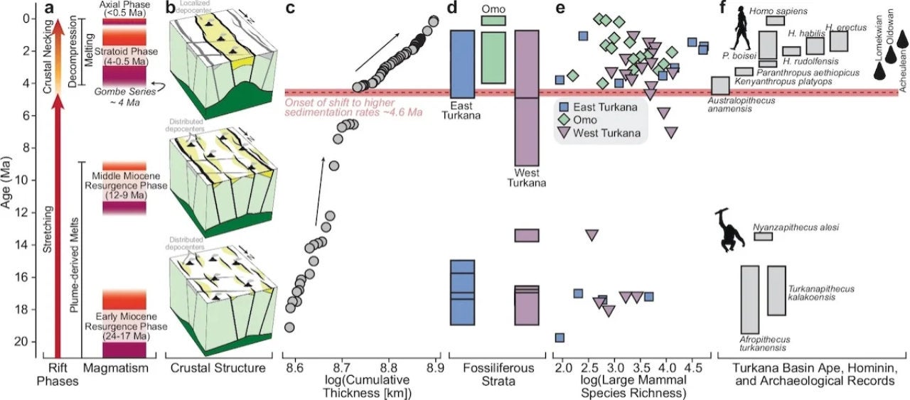 Graphique explicatif de la géologie du Rift de Turkana