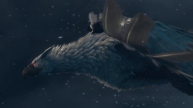 Une aventure équestre avec un griffon.