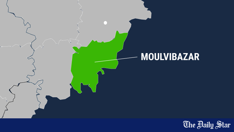 Homme arrêté à Moulvibazar pour des propos injurieux envers le PM sur Tiktok !