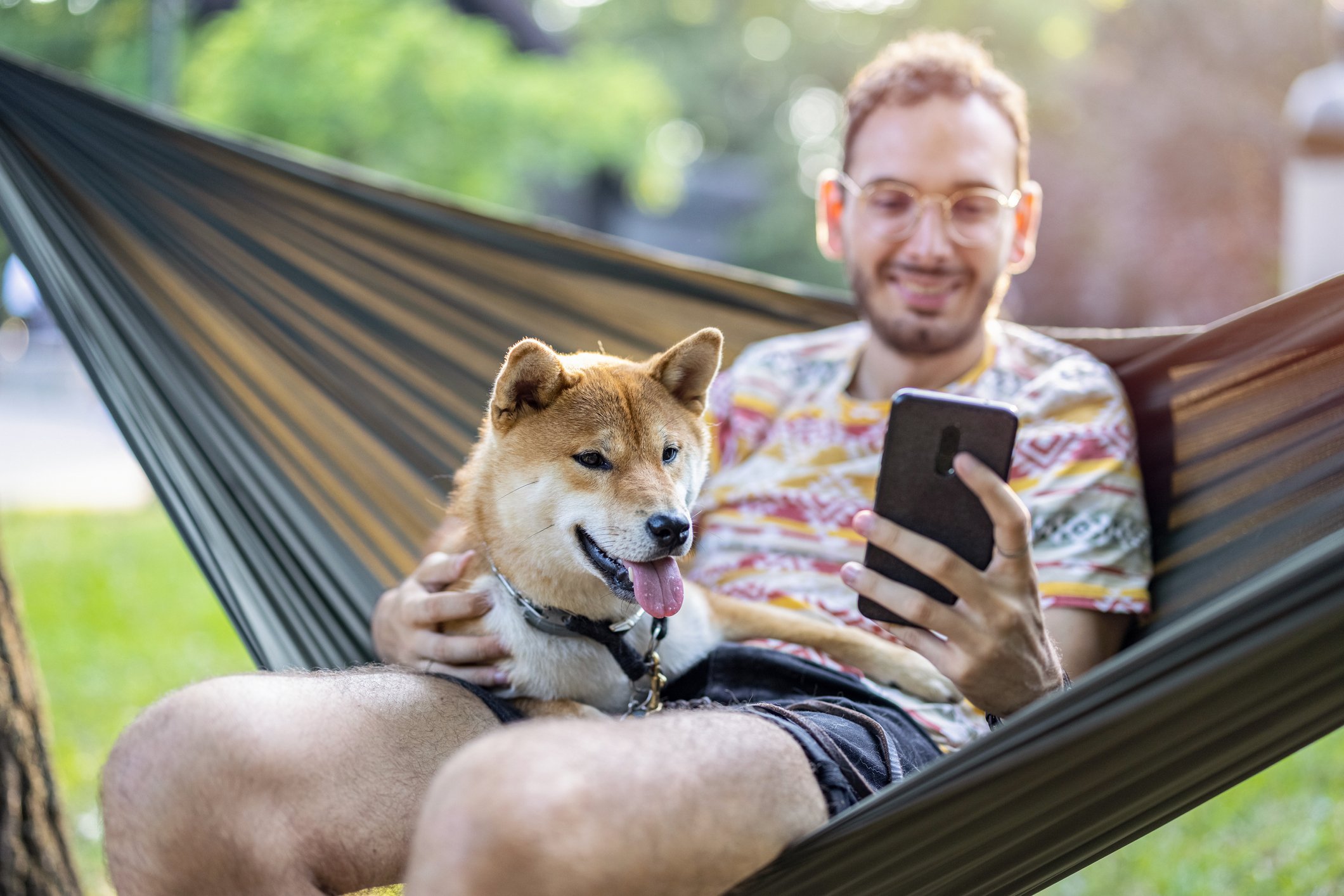 Shiba Inu assis avec un homme.