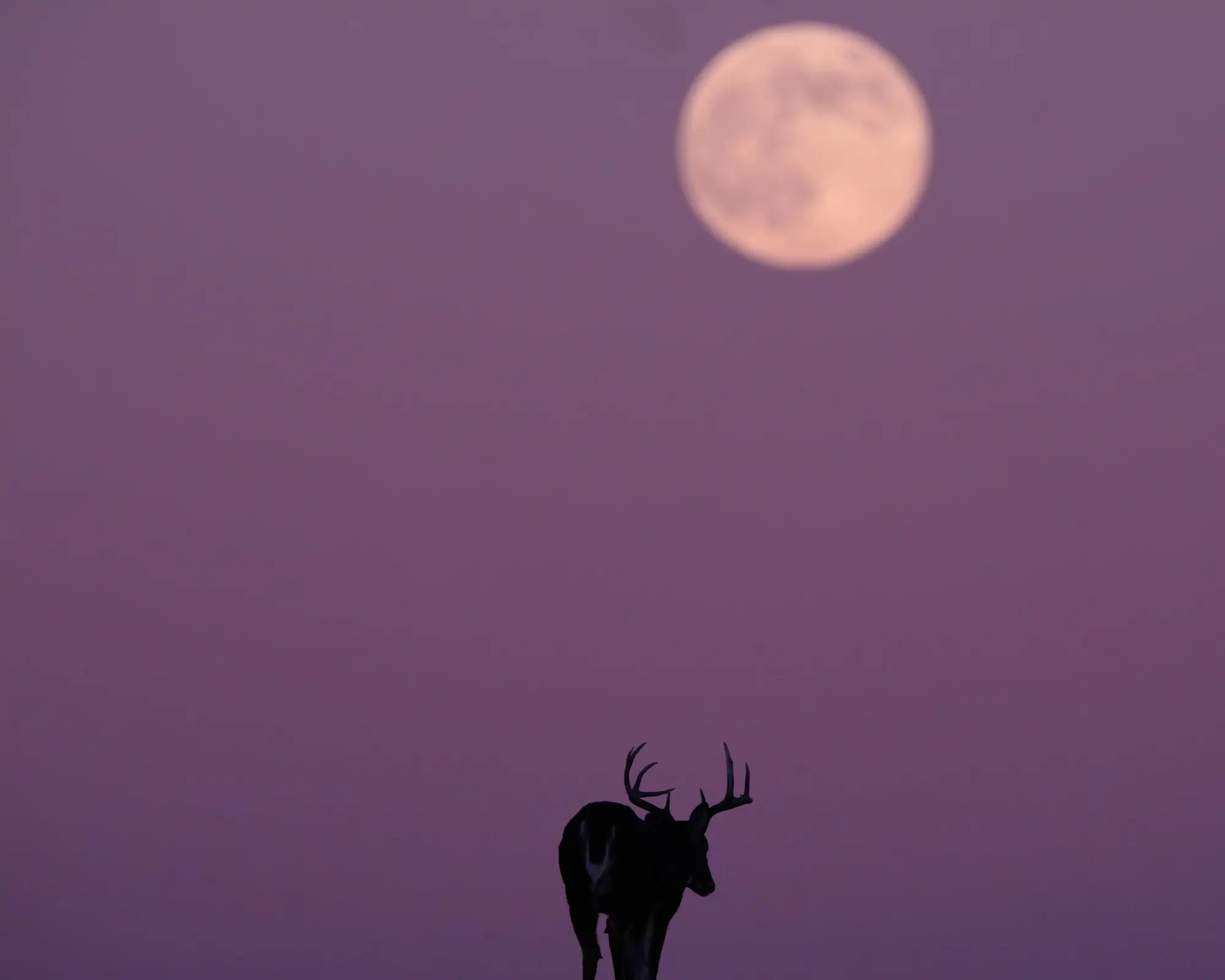 LUNE PLEINE KANSAS