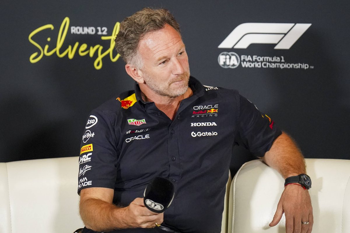 Horner et Hammer s'approchent en F1 : des révélations qui attirent l’attention !