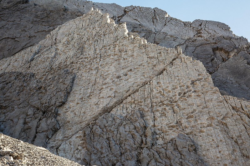 Des milliers d'empreintes de dinosaures sur les pentes des Alpes italiennes en Lombardie