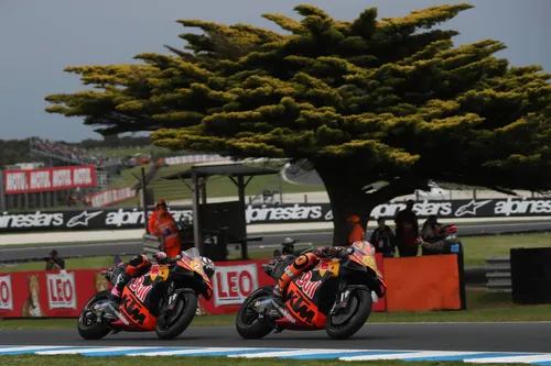 Arbre de Phillip Island, KTM MotoGP