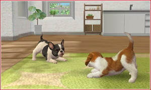 Nintendogs+Cats pour Nintendo 3DS