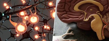 La nouvelle stratégie contre l'alzheimer repose sur le 'reprogrammation' du cerveau pour qu'il se nettoie