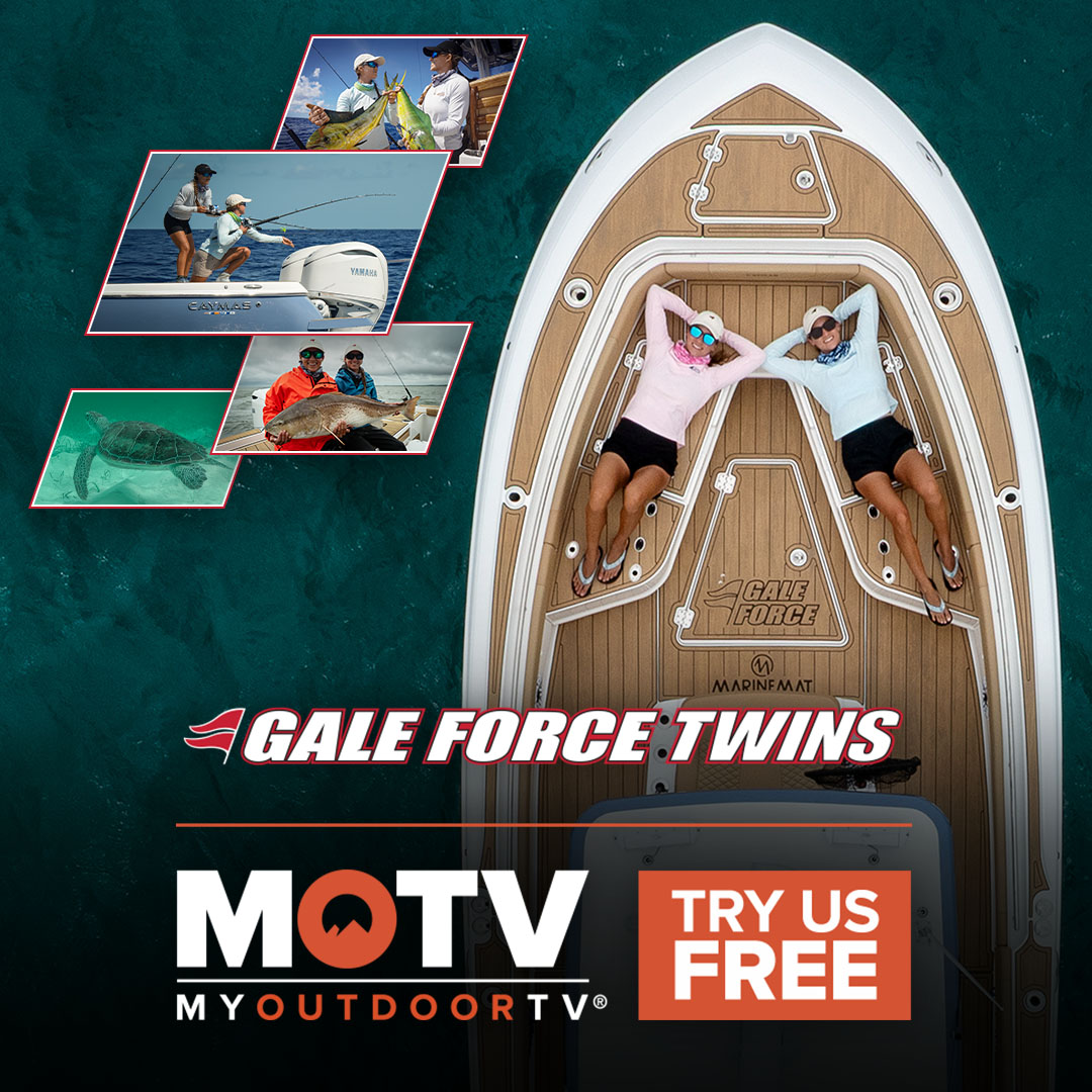 Gale Force Twins : ne manquez pas les nouveaux épisodes en streaming !