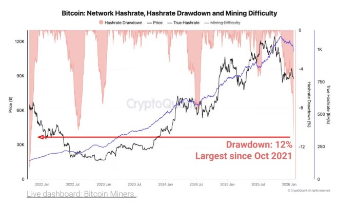 Graphique du Hashrate
