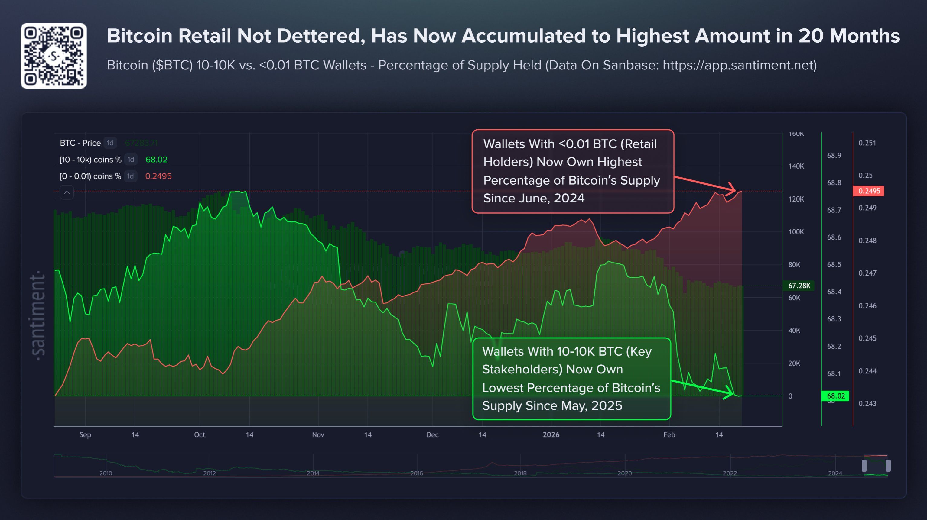 Chart des parts de détention de Bitcoin