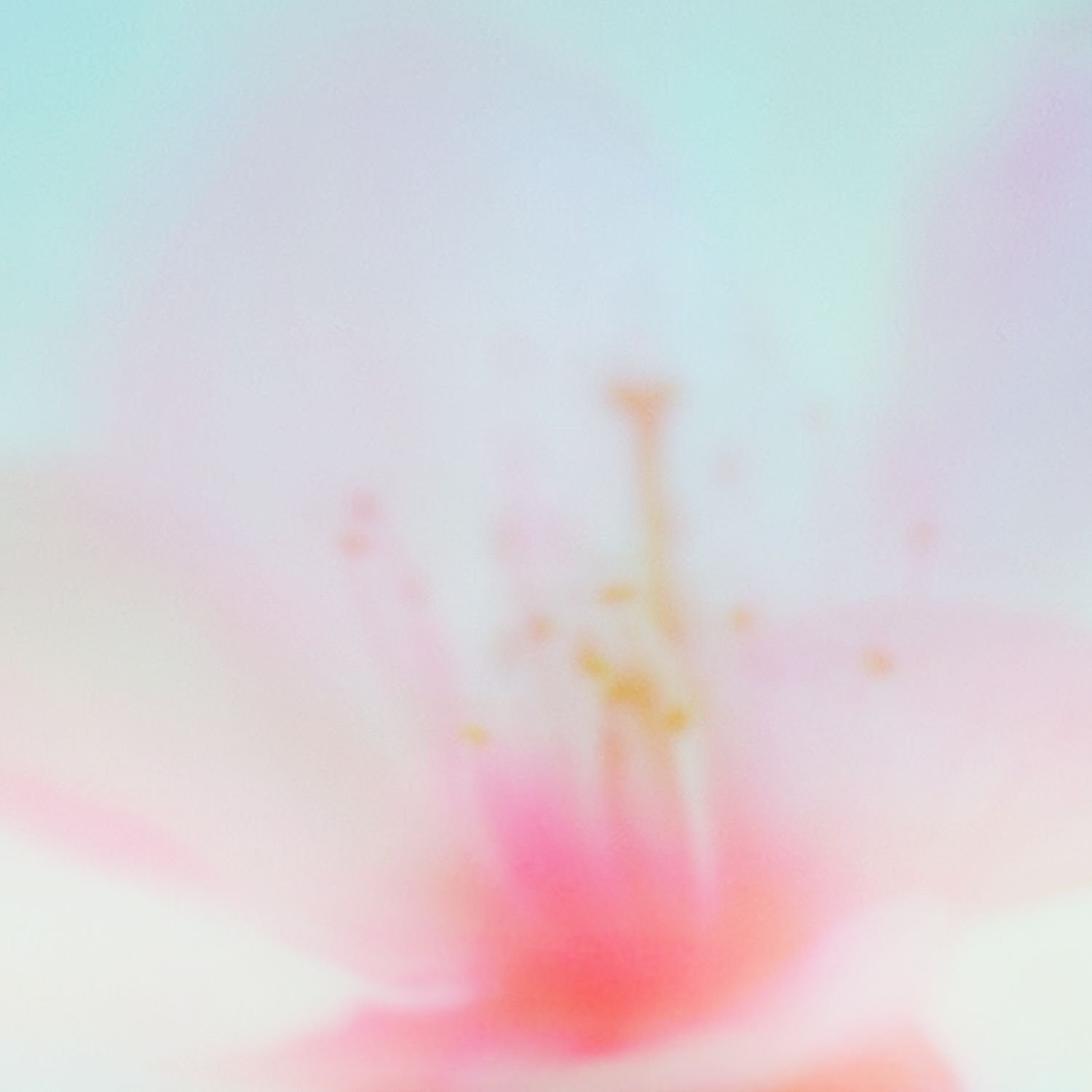 Artwork de tonun