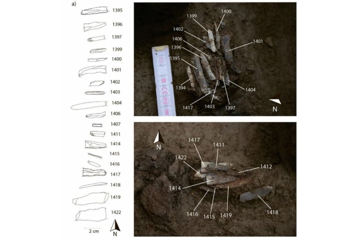 Cluster de lames in situ; deux phases de micro-excavation
