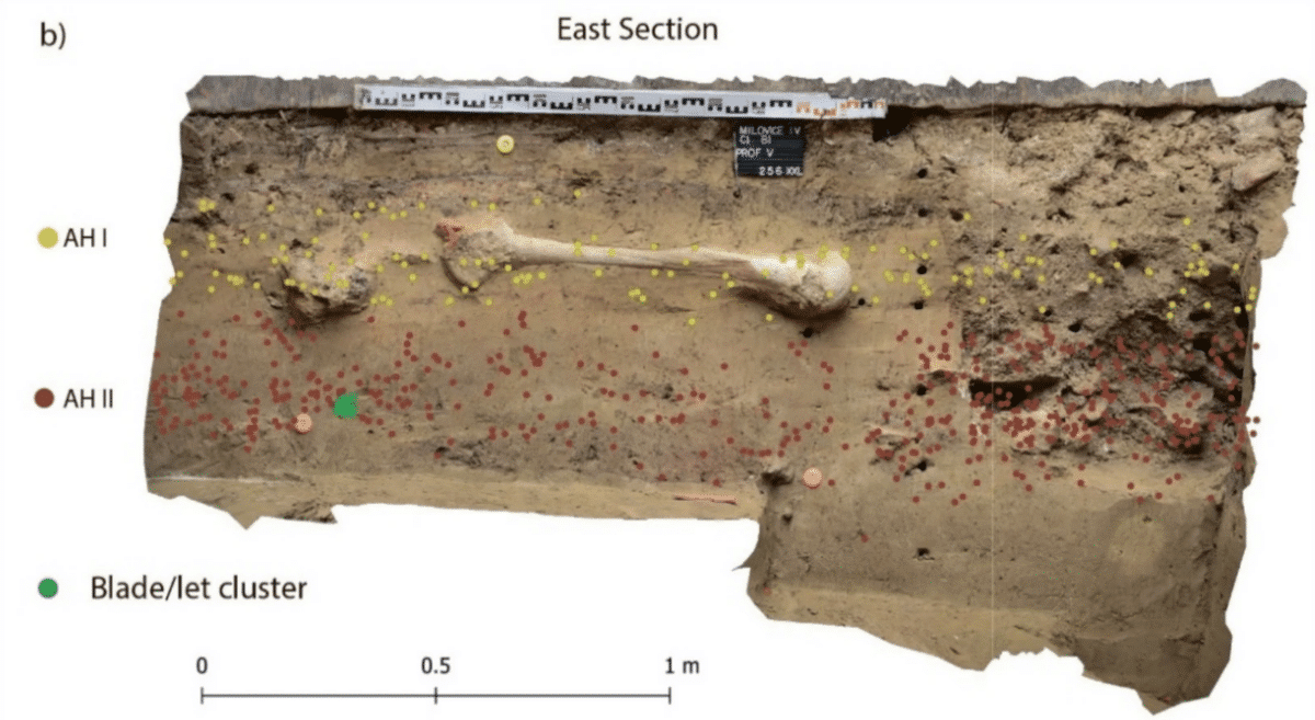 Cluster de lames projeté avec d'autres artefacts de AH I et AH II sur la section est de M IV