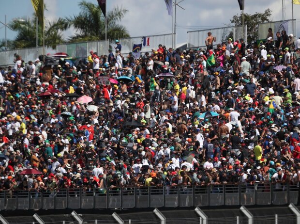 Fans in Goiania