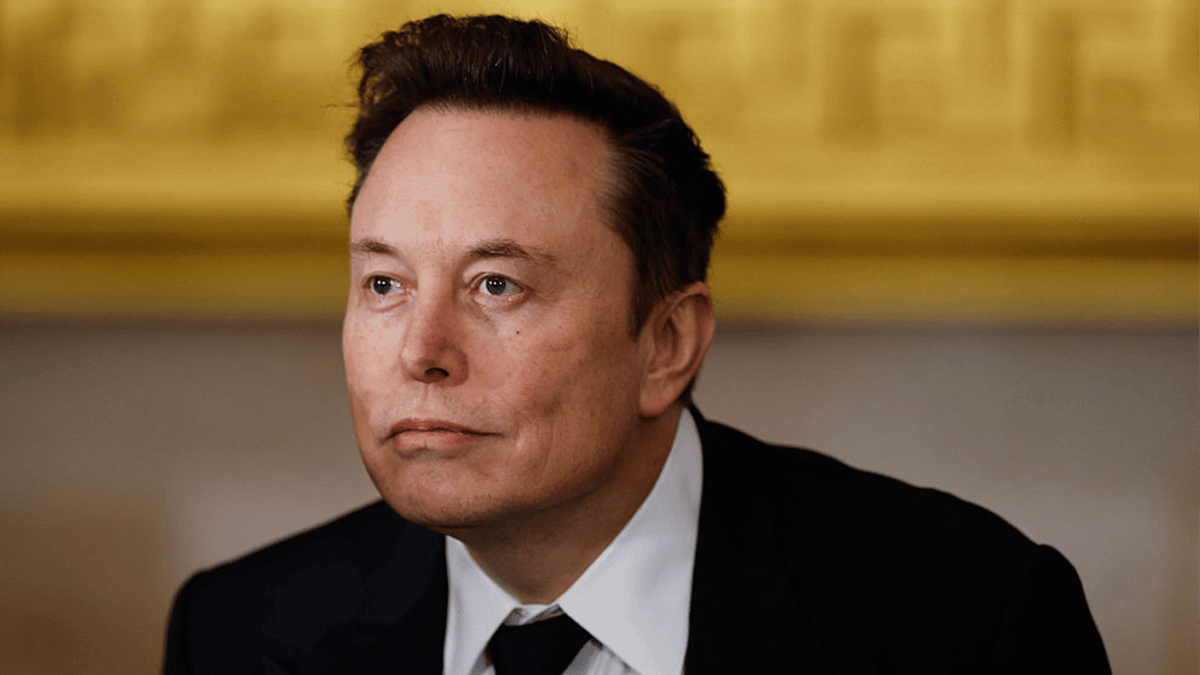 Elon Musk met en lumière une opportunité rare : "C'est monumental !"