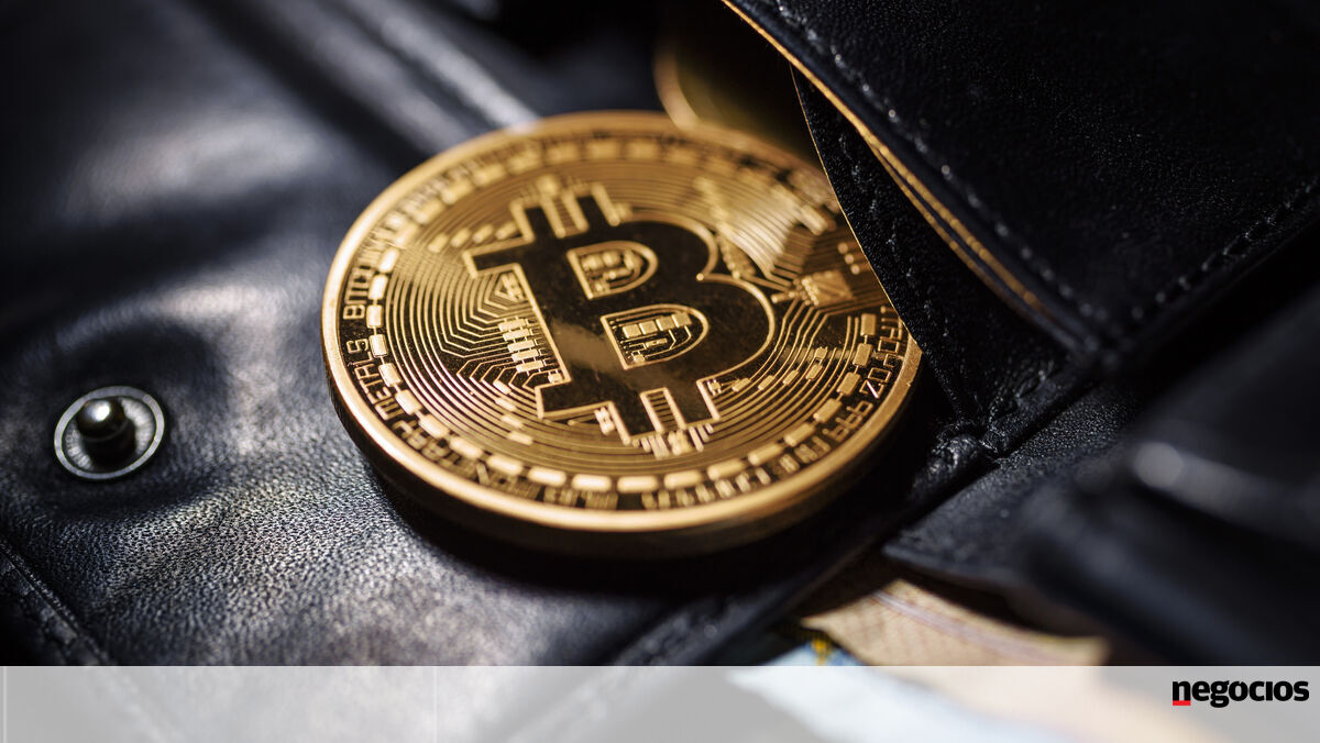 PDG, banques et politiciens : Les grands investisseurs maintiennent le Bitcoin à l'abri de la débâcle des épargnants !