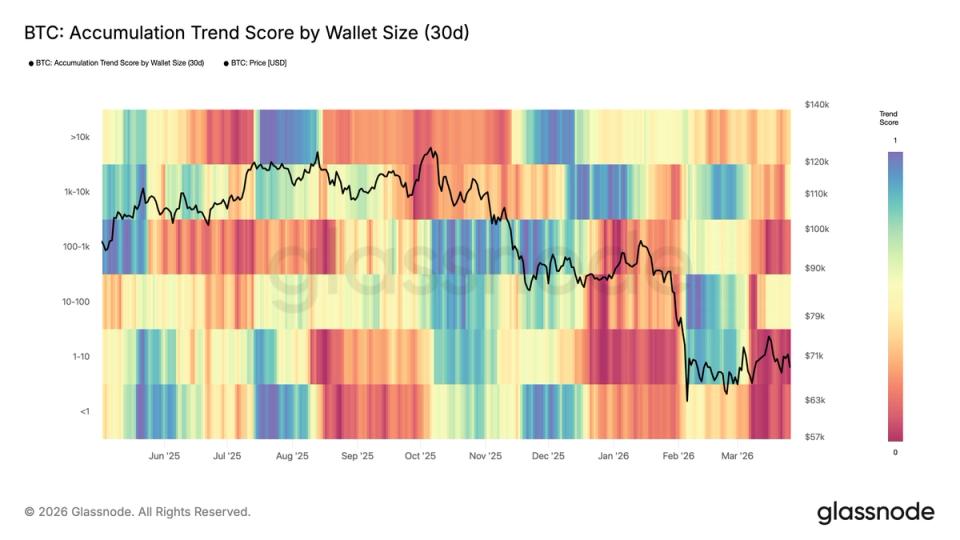 Vente massive de BTC : les petits détenteurs s'intensifient !