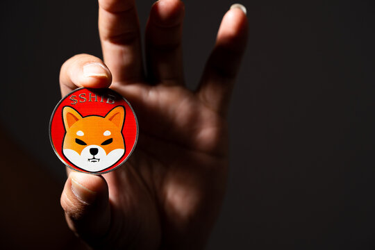 Développements Récents : Découvrez Pourquoi le Prix du Shiba Inu S'effondre Encore!