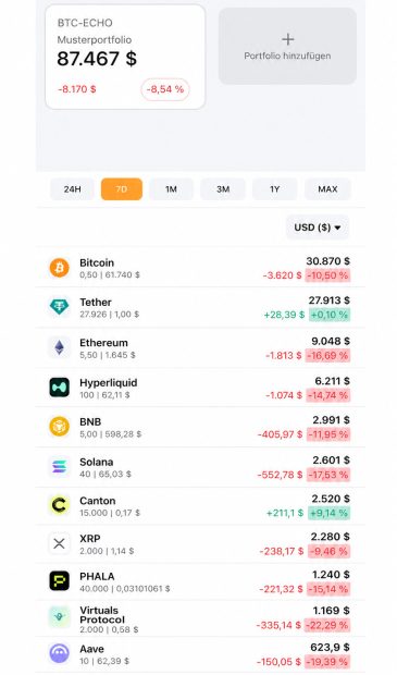BTC-ECHO Musterportfolio 09.06.26